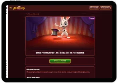 Oficjalna strona Magius